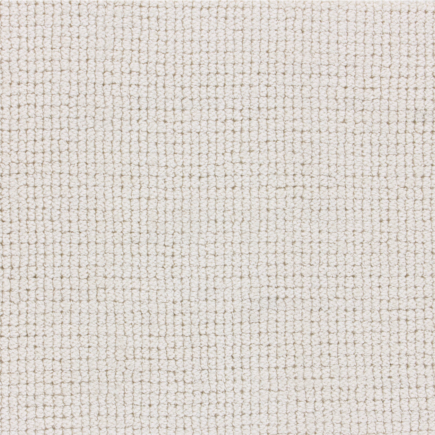 Wool-blend broadloom carpet swatch in a looped weave in ivory.
