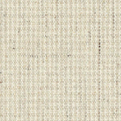Wool broadloom carpet swatch in a chunky tweed weave in mottled white and cream.