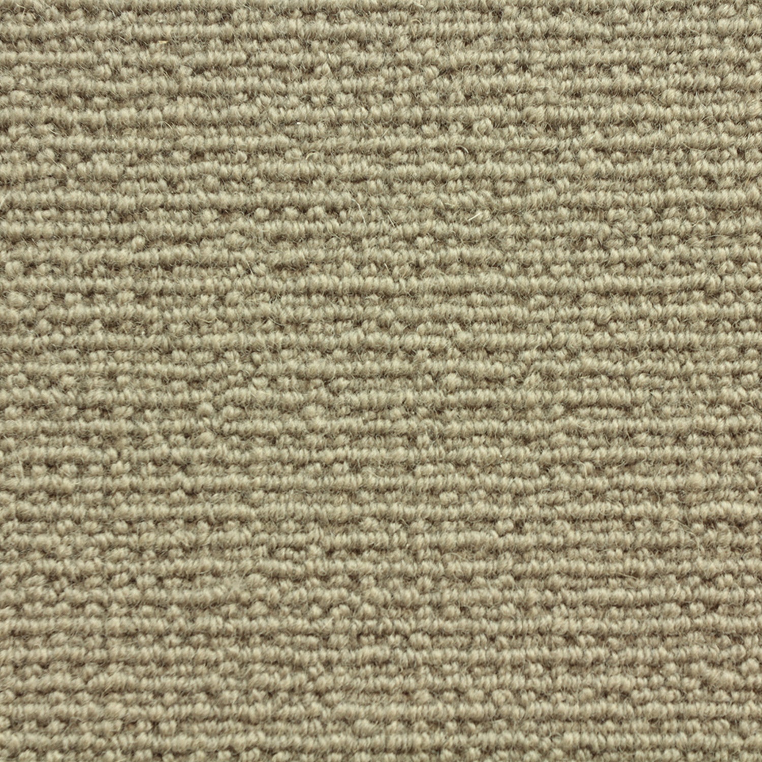 Wool broadloom carpet swatch in a chunky loop weave in khaki.
