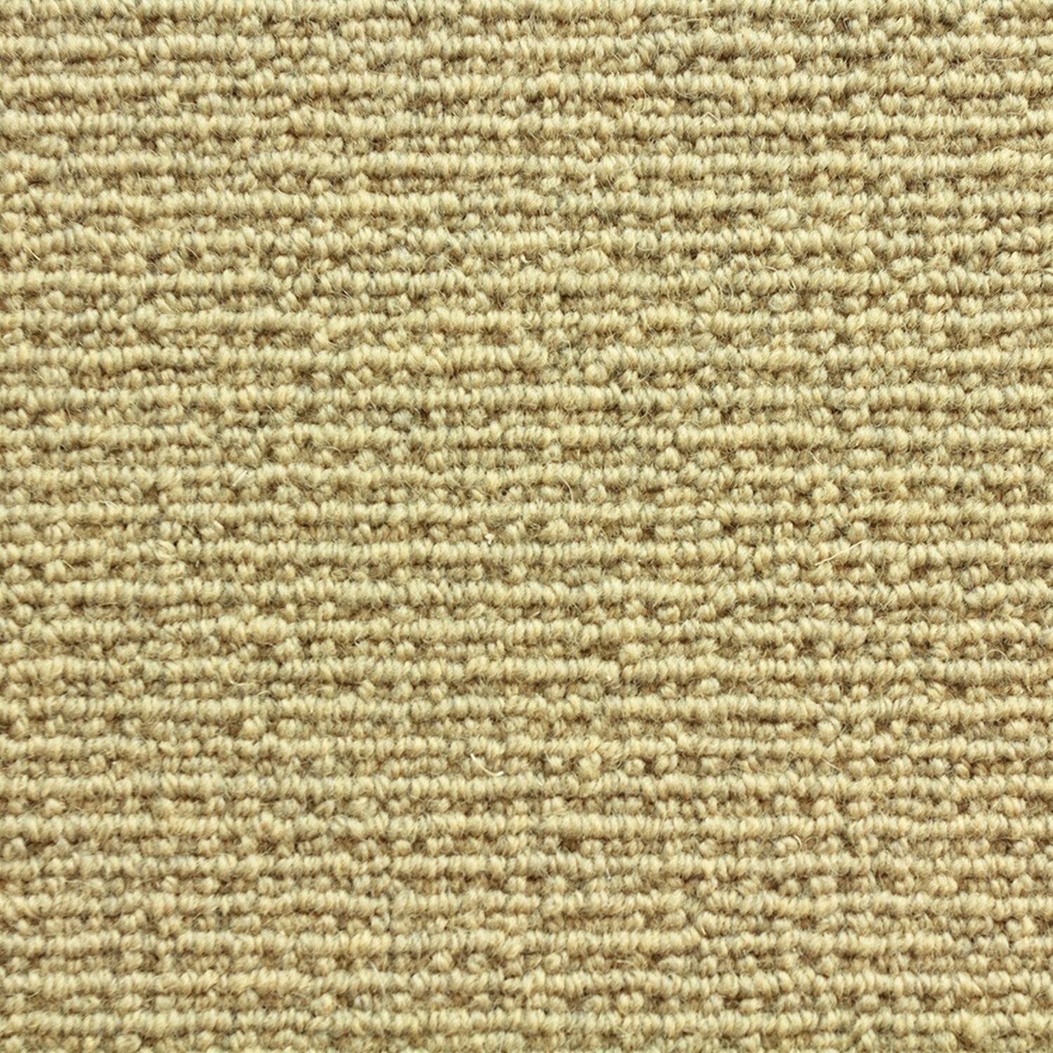 Wool broadloom carpet swatch in a chunky loop weave in mustard.