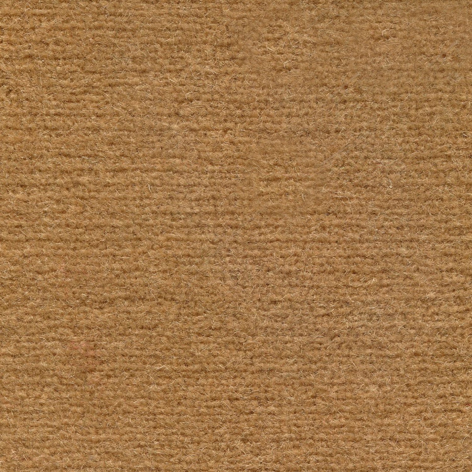 Wool broadloom carpet swatch in a high-pile weave in a solid tan colorway.