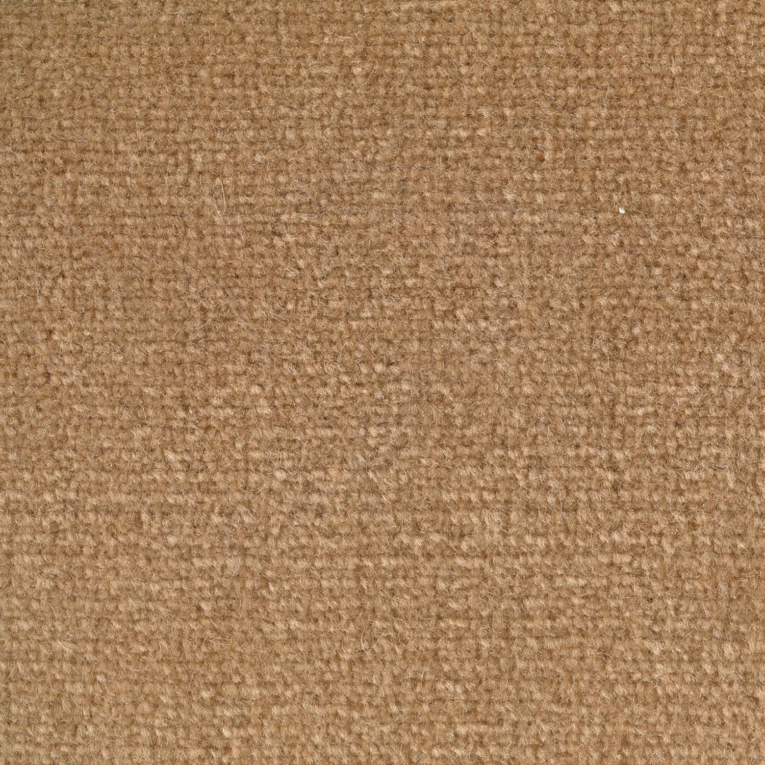 Wool broadloom carpet swatch in a high-pile weave in a solid light brown colorway.