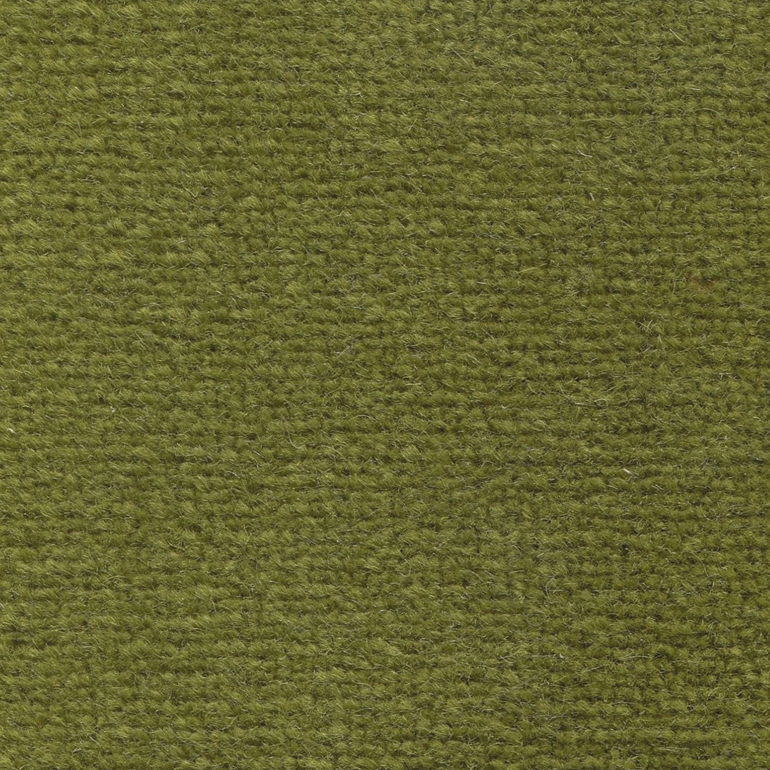 Wool broadloom carpet swatch in a high-pile weave in a solid olive colorway.