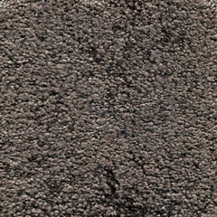 Nylon broadloom carpet swatch in a cut pile texture in sable.