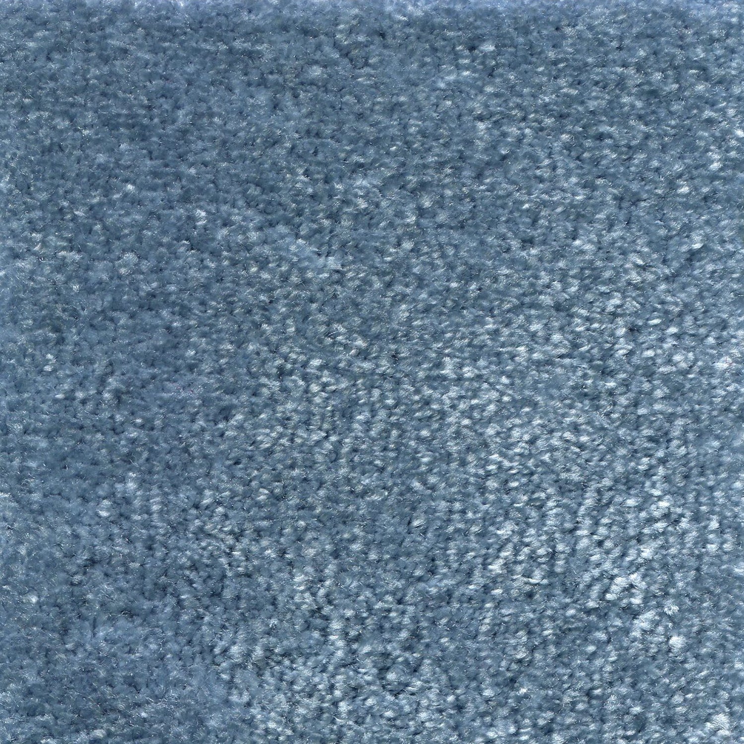 Synthetic blend broadloom carpet swatch in a cut pile texture in blue.