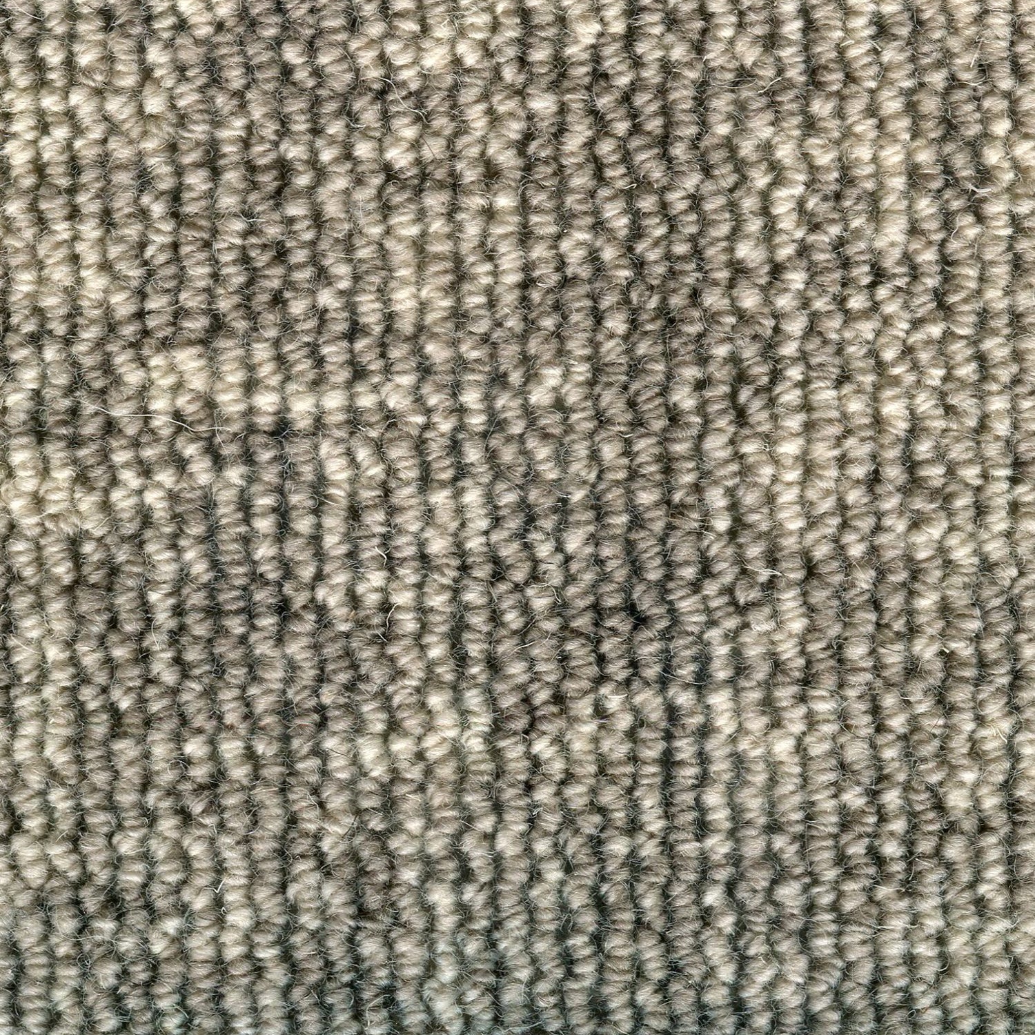 Wool broadloom carpet swatch in a chunky loop weave in mottled cream and sable.