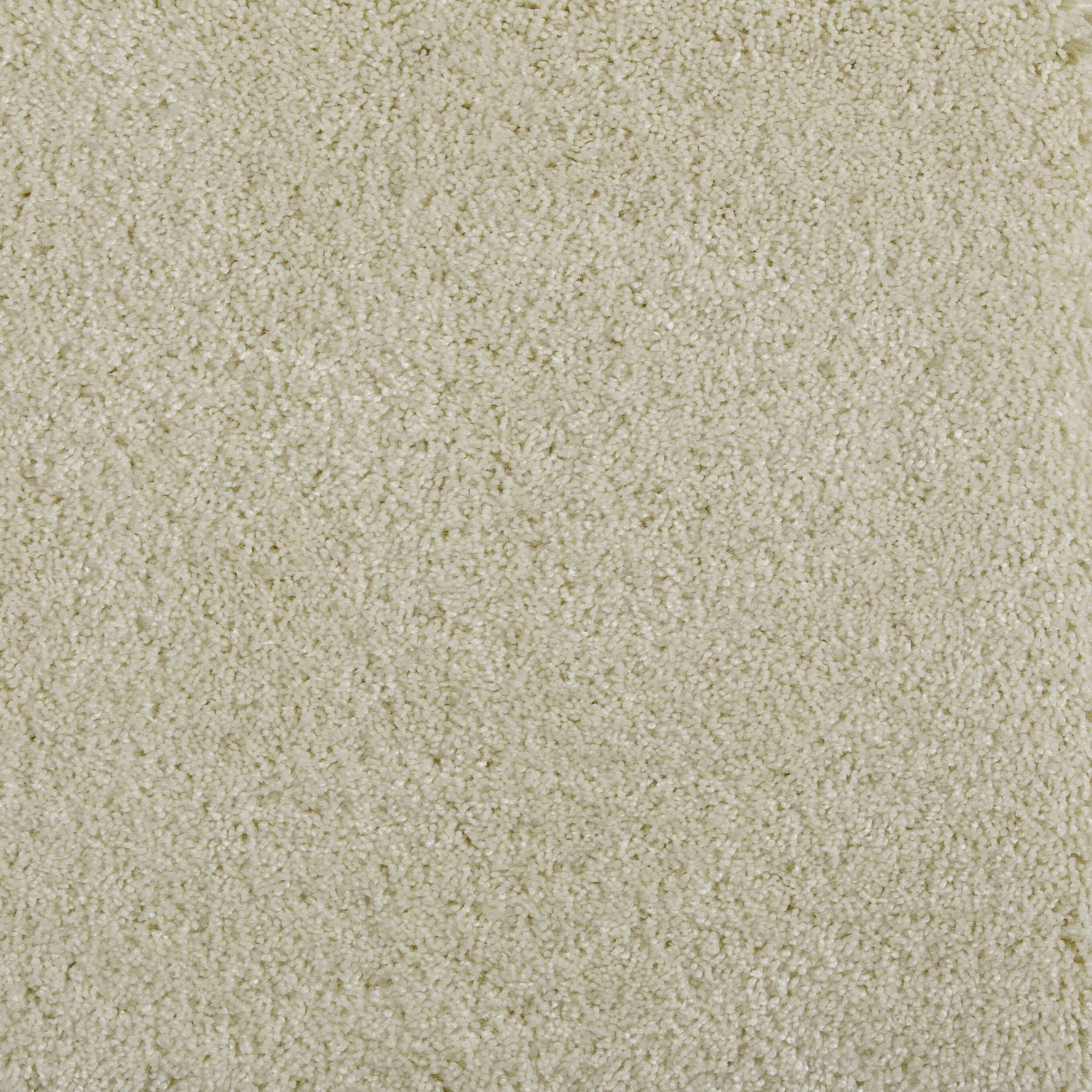 Synthetic broadloom carpet swatch in a cut pile texture in cream.