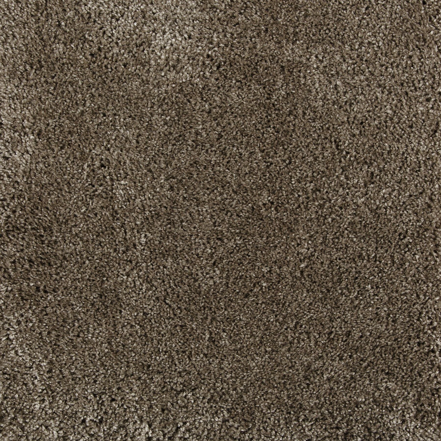 Synthetic broadloom carpet swatch in a cut pile texture in brown.