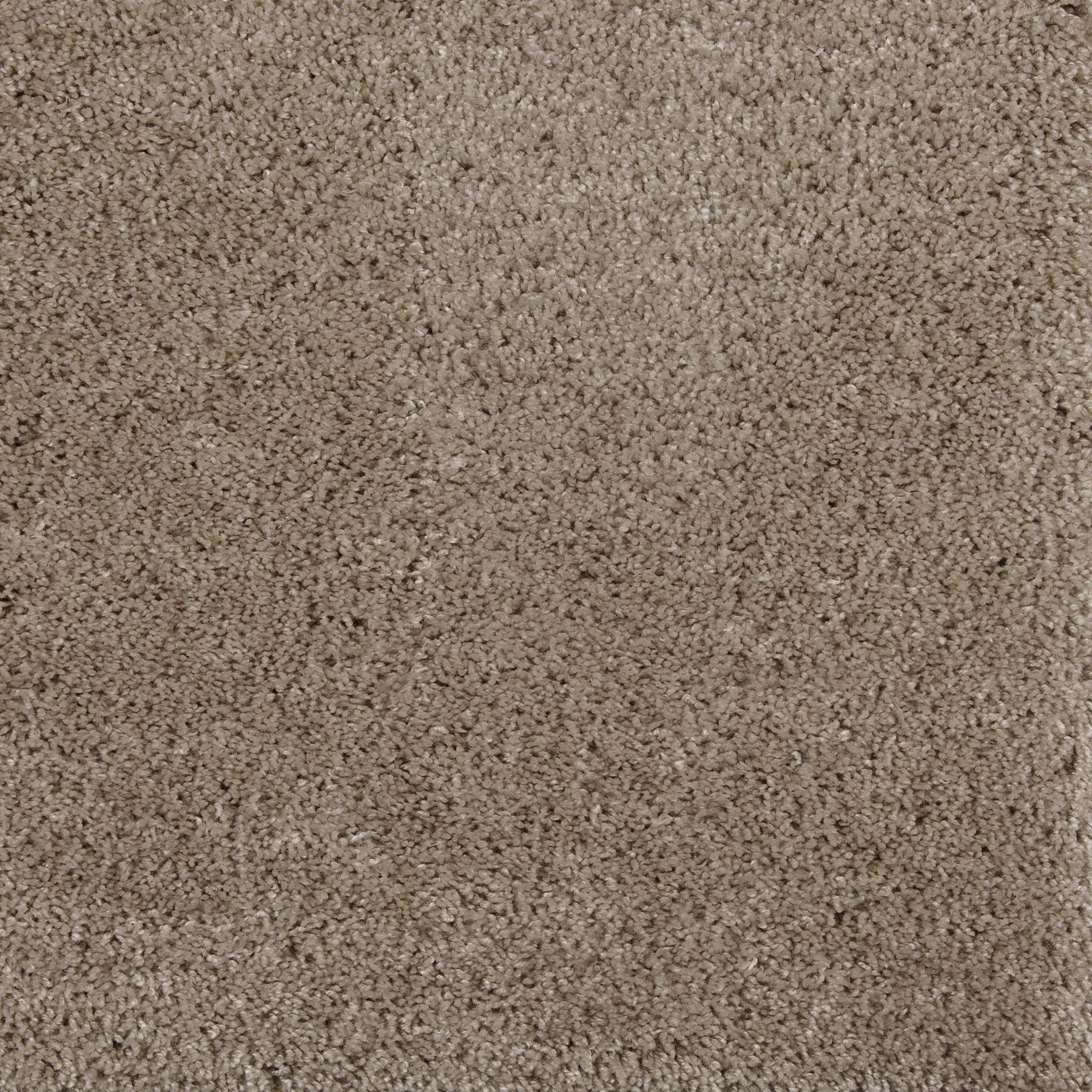 Synthetic broadloom carpet swatch in a cut pile texture in sable.