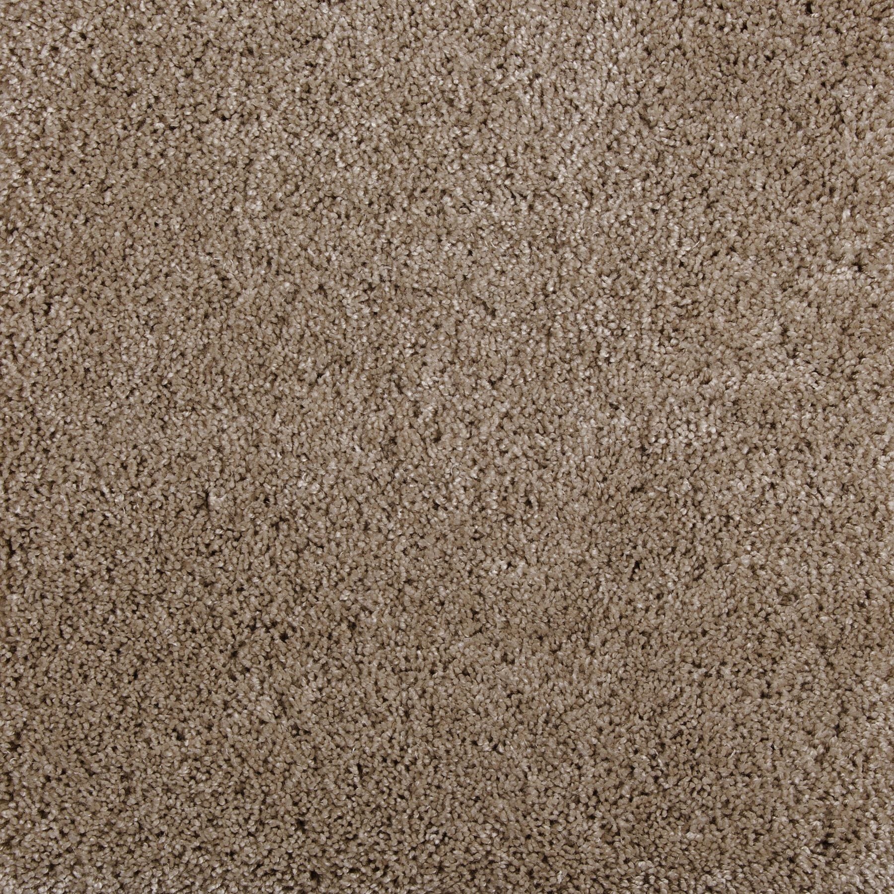 Synthetic broadloom carpet swatch in a cut pile texture in light brown.