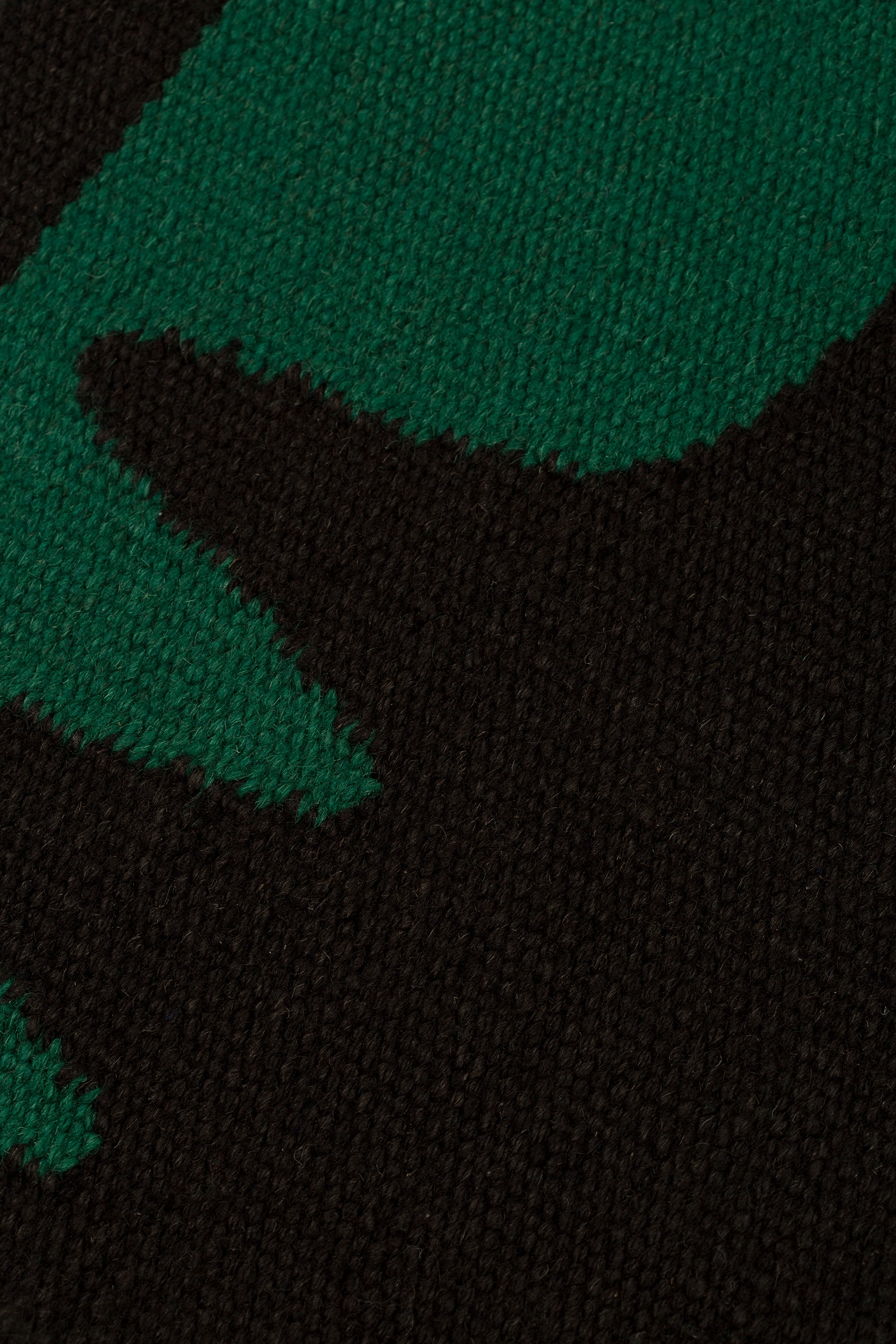 Detail of the Waver Rug in Modernist Green, a solid black field with a green flame stitch border. 